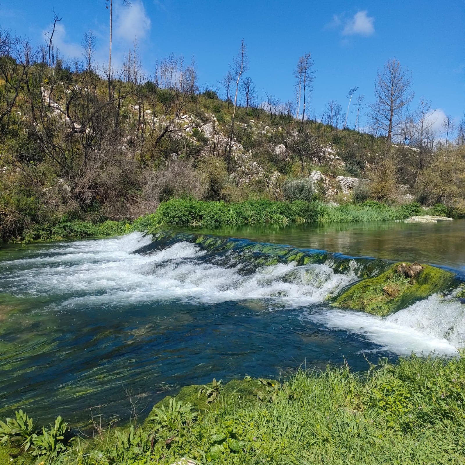 imagem de paisagens